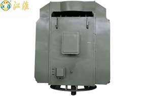 德阳YLS系列高压立式三相异步电动机