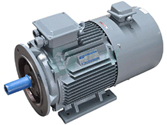 德阳鉴黑担保网,鉴黑网变频电机利用与选型指南