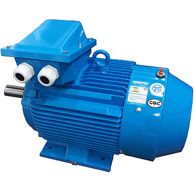 德阳鉴黑担保网,鉴黑网变频电机的技术深度解析与利用指南